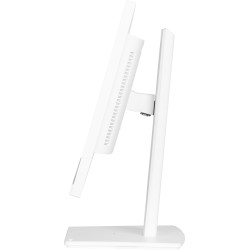 iiyama ProLite XUB2497HSN-W2 – Moniteur 23,8" IPS Full HD 100 Hz avec USB-C