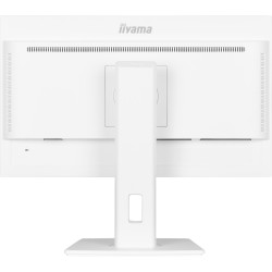 iiyama ProLite XUB2497HSN-W2 – Moniteur 23,8" IPS Full HD 100 Hz avec USB-C