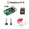 Kit Raspberry Pi Essential - Raspberry Pi 4 Model B 2 Go, Officiële Voeding, Micro SD 32 Gb, HDMI Kabels